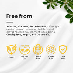 Just Curls Shampoo, Conditioner and Mask Set - Herbishh Health & Beauty.