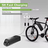 36V 48V 15Ah 20Ah Hailong E-Bike Lithium Battery