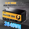 RVPOZWER 12V LiFePO4 Battery 100Ah 200Ah 300Ah