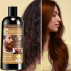 10 in 1 Chestnut Brown Hair Dye Shampoo 100ml Quick Color Nourishing