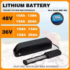 36V 48V 15Ah 20Ah Hailong E-Bike Lithium Battery