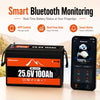 Buknuwo 24V 100Ah LiFePO4 Lithium Battery 2560Wh