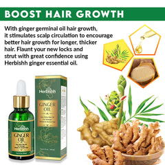 Pack of 3  Exotic Ginger Oil - Herbishh Hair Oil.