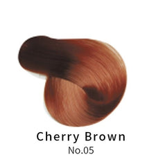 Hair Dye Color Shampoo | Hair dye shampoo for Women